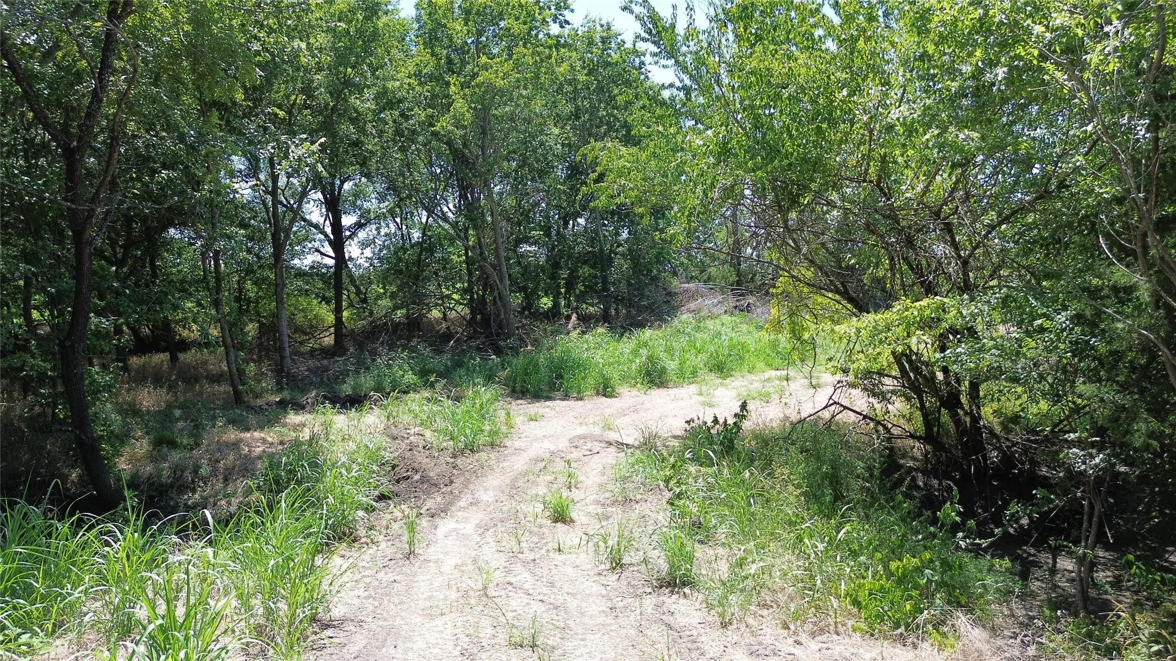 Unimproved Land For Sale in Delta County , TBD CR 3140, Cooper, Texas 75432, 0, 0, Garage spaces, 0 Sqft, built in 0, mls#21120316, Real Estate Agent in Cooper, Homes For Sale in Delta county, Homes For Sale in Cooper, Realtor in Cooper Texas, Real Estate Brokerage Independent Realty Texas, Luminita Cordes Realtor