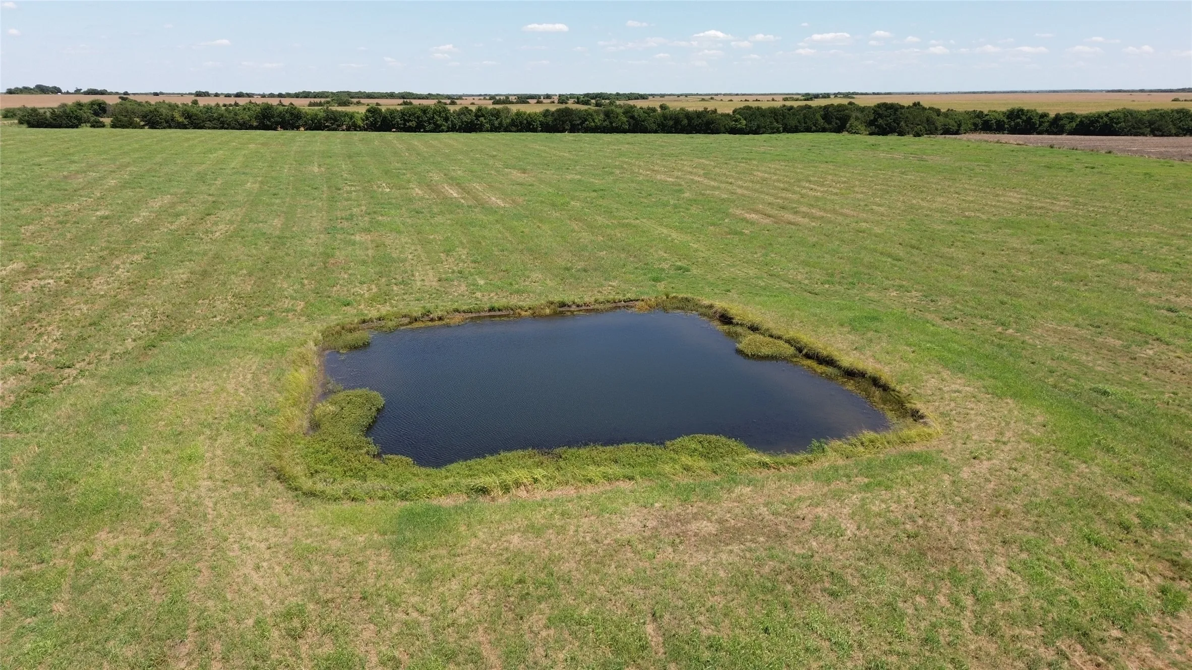 Unimproved Land For Sale in Delta County , TBD CR 3140, Cooper, Texas 75432, 0, 0, Garage spaces, 0 Sqft, built in 0, mls#21120316, Real Estate Agent in Cooper, Homes For Sale in Delta county, Homes For Sale in Cooper, Realtor in Cooper Texas, Real Estate Brokerage Independent Realty Texas, Luminita Cordes Realtor