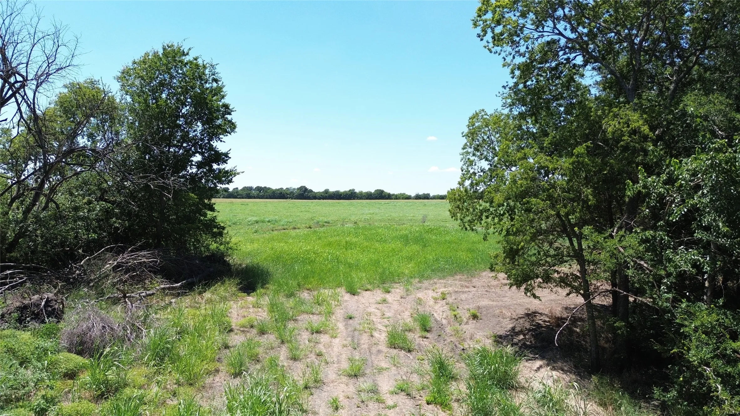 Unimproved Land For Sale in Delta County , TBD CR 3140, Cooper, Texas 75432, 0, 0, Garage spaces, 0 Sqft, built in 0, mls#21120316, Real Estate Agent in Cooper, Homes For Sale in Delta county, Homes For Sale in Cooper, Realtor in Cooper Texas, Real Estate Brokerage Independent Realty Texas, Luminita Cordes Realtor