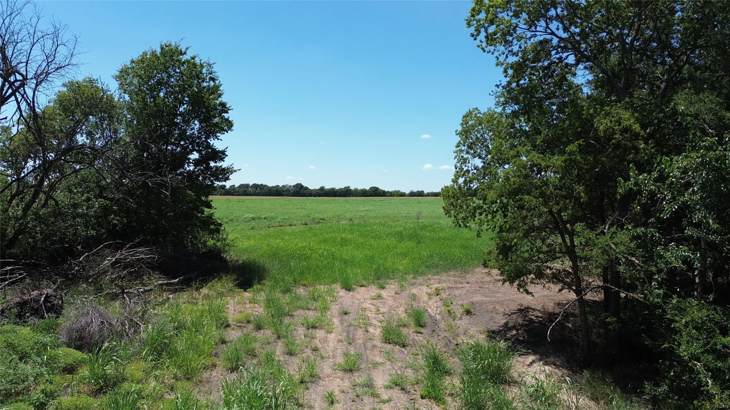 Unimproved Land For Sale in Delta County , TBD CR 3140, Cooper, Texas 75432, 0, 0, Garage spaces, 0 Sqft, built in 0, mls#21120316, Real Estate Agent in Cooper, Homes For Sale in Delta county, Homes For Sale in Cooper, Realtor in Cooper Texas, Real Estate Brokerage Independent Realty Texas, Luminita Cordes Realtor