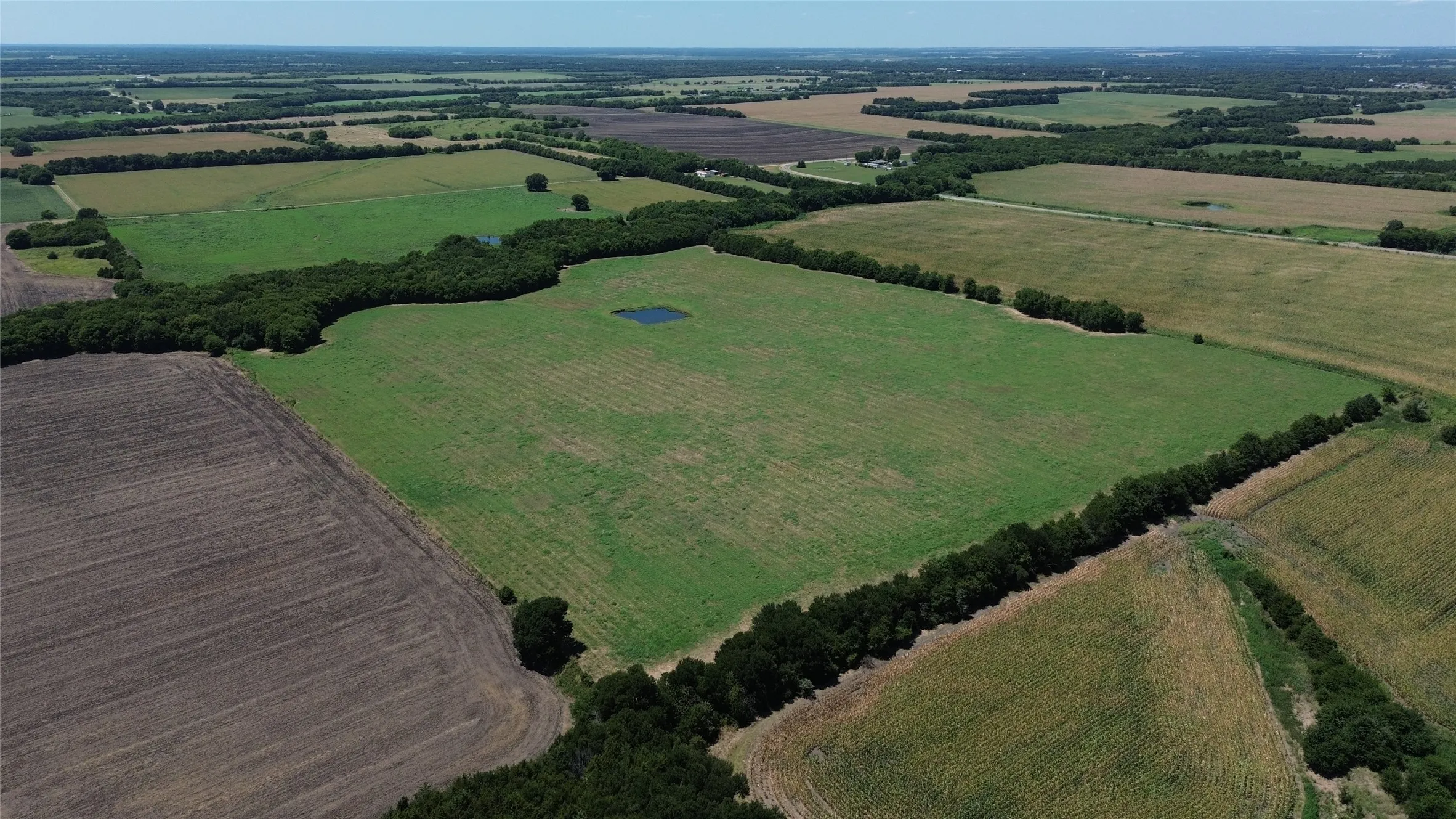 Unimproved Land For Sale in Delta County , TBD CR 3140, Cooper, Texas 75432, 0, 0, Garage spaces, 0 Sqft, built in 0, mls#21120316, Real Estate Agent in Cooper, Homes For Sale in Delta county, Homes For Sale in Cooper, Realtor in Cooper Texas, Real Estate Brokerage Independent Realty Texas, Luminita Cordes Realtor