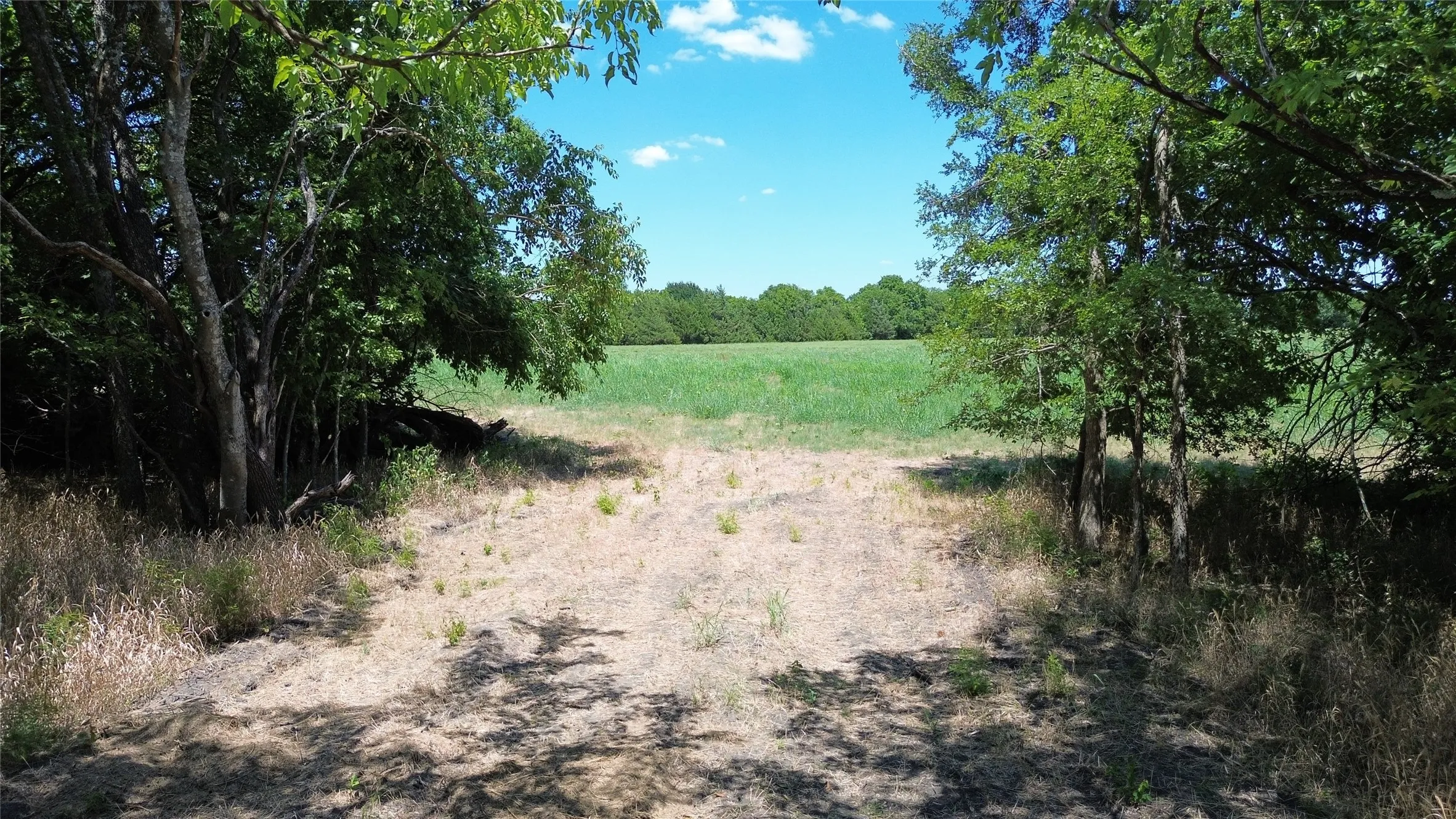 Unimproved Land For Sale in Delta County , TBD CR 3140, Cooper, Texas 75432, 0, 0, Garage spaces, 0 Sqft, built in 0, mls#21120316, Real Estate Agent in Cooper, Homes For Sale in Delta county, Homes For Sale in Cooper, Realtor in Cooper Texas, Real Estate Brokerage Independent Realty Texas, Luminita Cordes Realtor