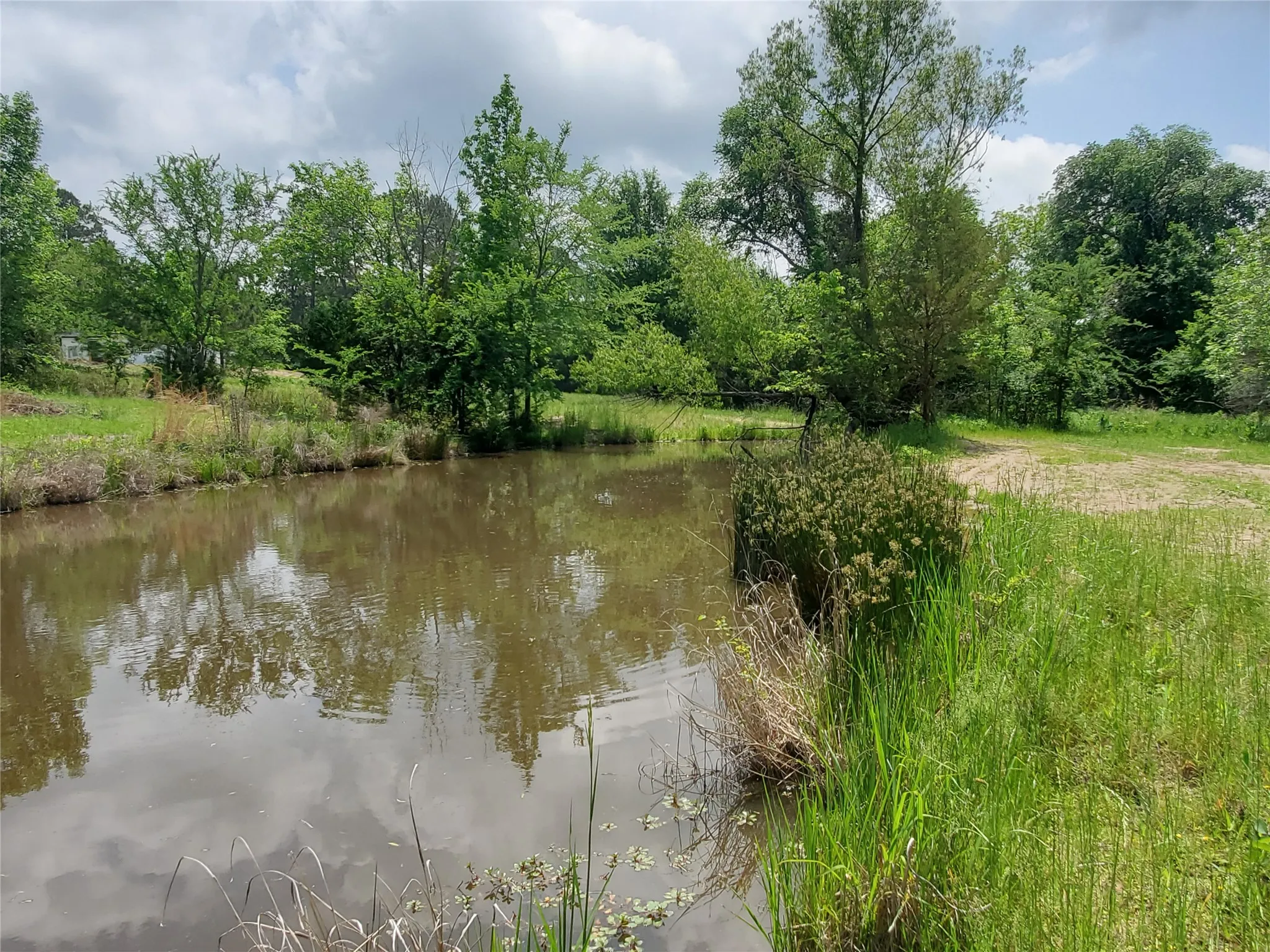 Single Family Residence For Sale in Rains County , 1156 RS County Road 1140, Emory, Texas 75440, 3 Bedroom, 2 Bathroom, Garage spaces, 1,334 Sqft, built in 2026, New Construction - Complete, mls#21123130, Real Estate Agent in Emory, Homes For Sale in Rains county, Homes For Sale in Emory, Realtor in Emory Texas, Real Estate Brokerage Independent Realty Texas, Luminita Cordes Realtor