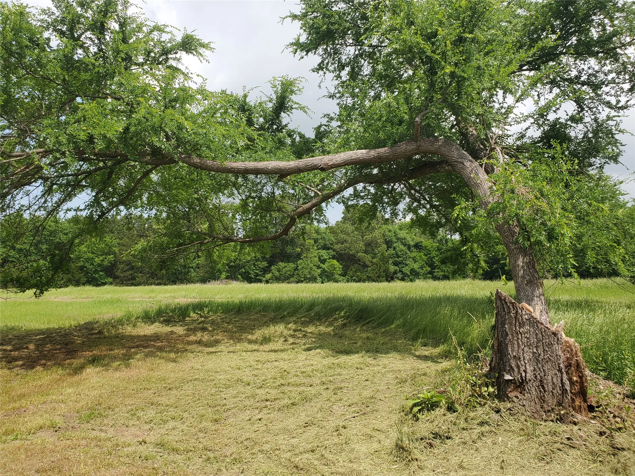 Single Family Residence For Sale in Rains County , 1156 RS County Road 1140, Emory, Texas 75440, 3 Bedroom, 2 Bathroom, Garage spaces, 1,334 Sqft, built in 2026, New Construction - Complete, mls#21123130, Real Estate Agent in Emory, Homes For Sale in Rains county, Homes For Sale in Emory, Realtor in Emory Texas, Real Estate Brokerage Independent Realty Texas, Luminita Cordes Realtor