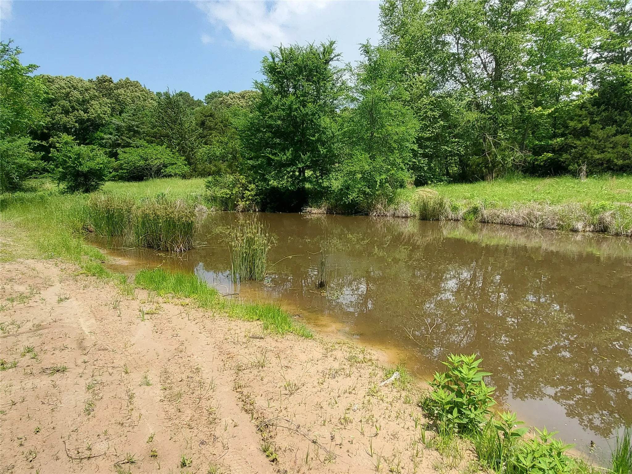 Single Family Residence For Sale in Rains County , 1156 RS County Road 1140, Emory, Texas 75440, 3 Bedroom, 2 Bathroom, Garage spaces, 1,334 Sqft, built in 2026, New Construction - Complete, mls#21123130, Real Estate Agent in Emory, Homes For Sale in Rains county, Homes For Sale in Emory, Realtor in Emory Texas, Real Estate Brokerage Independent Realty Texas, Luminita Cordes Realtor