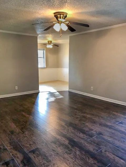 Dark wood-finish flooring extending into an adjacent space