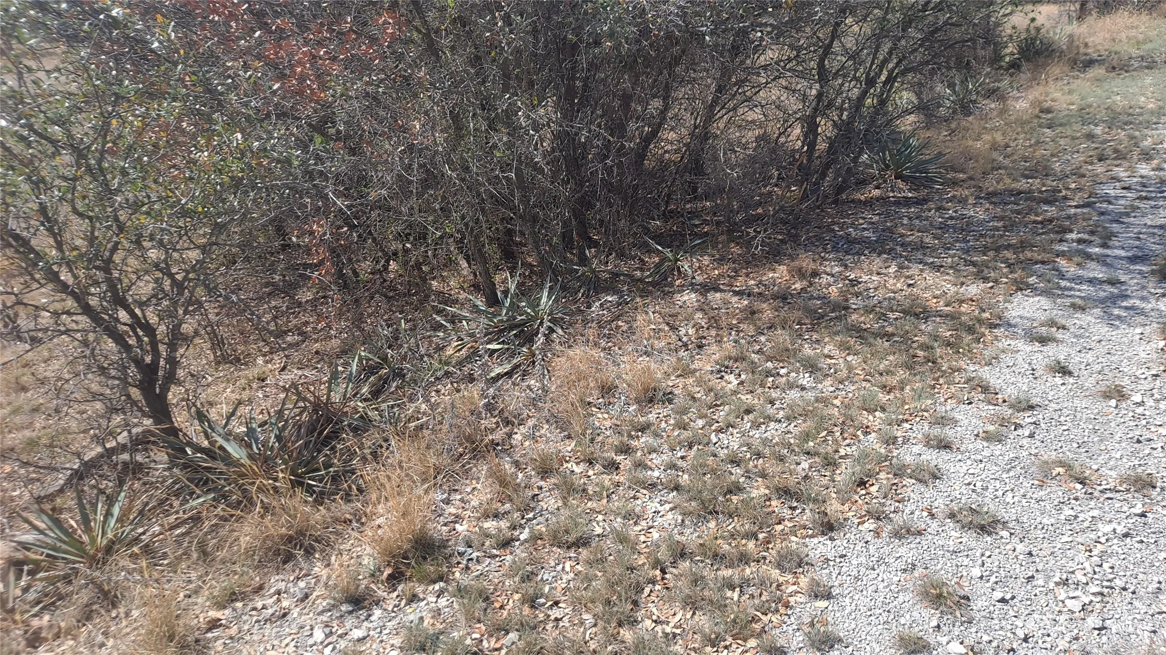 Unimproved Land For Sale in Brown County , 0 Oak Meadow Drive, May, Texas 76857, 0, 0, Garage spaces, 0 Sqft, built in 0, Price $7,400, mls#21123236, Real Estate Agent in May, Homes For Sale in Brown county, Homes For Sale in May, Realtor in May Texas, Real Estate Brokerage Independent Realty Texas, Luminita Cordes Realtor