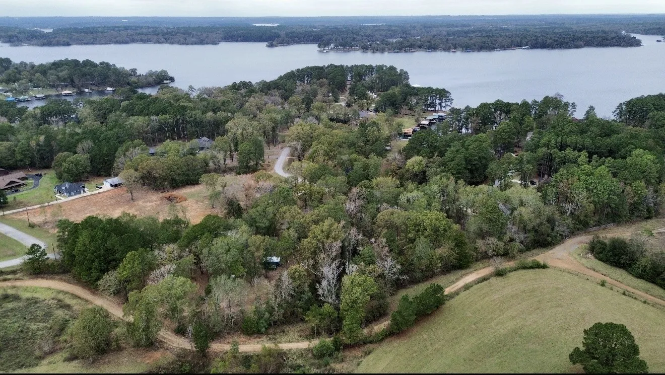 Drone / aerial view of a forest and a nearby body of water