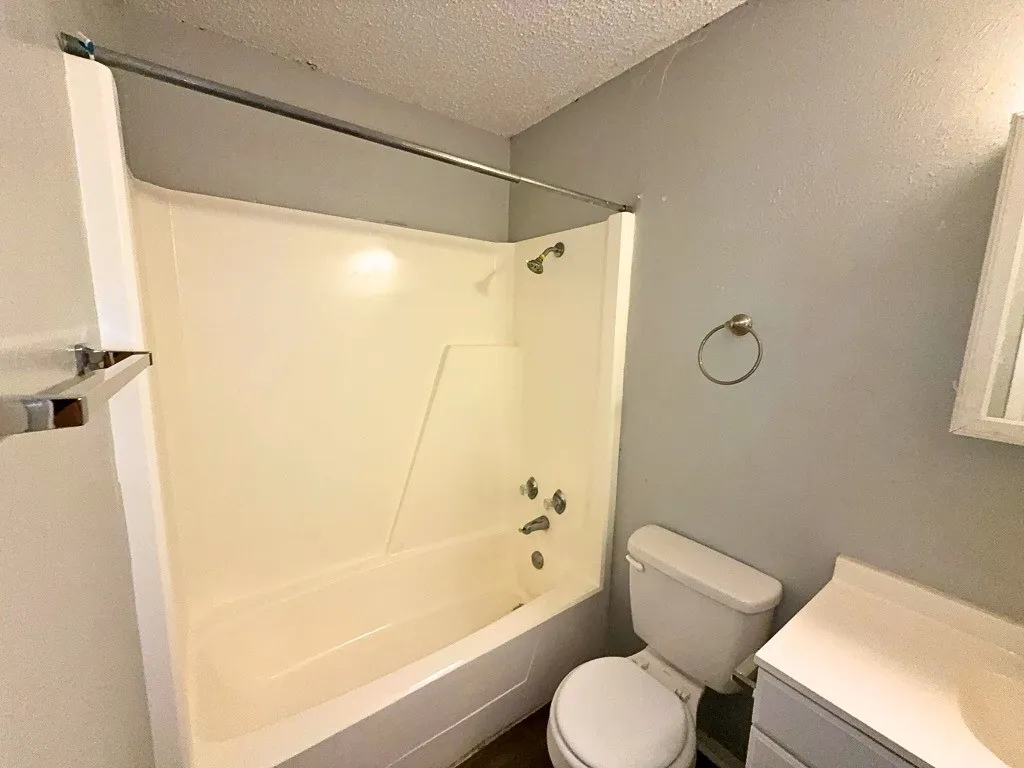 Bathroom with tub-shower combo