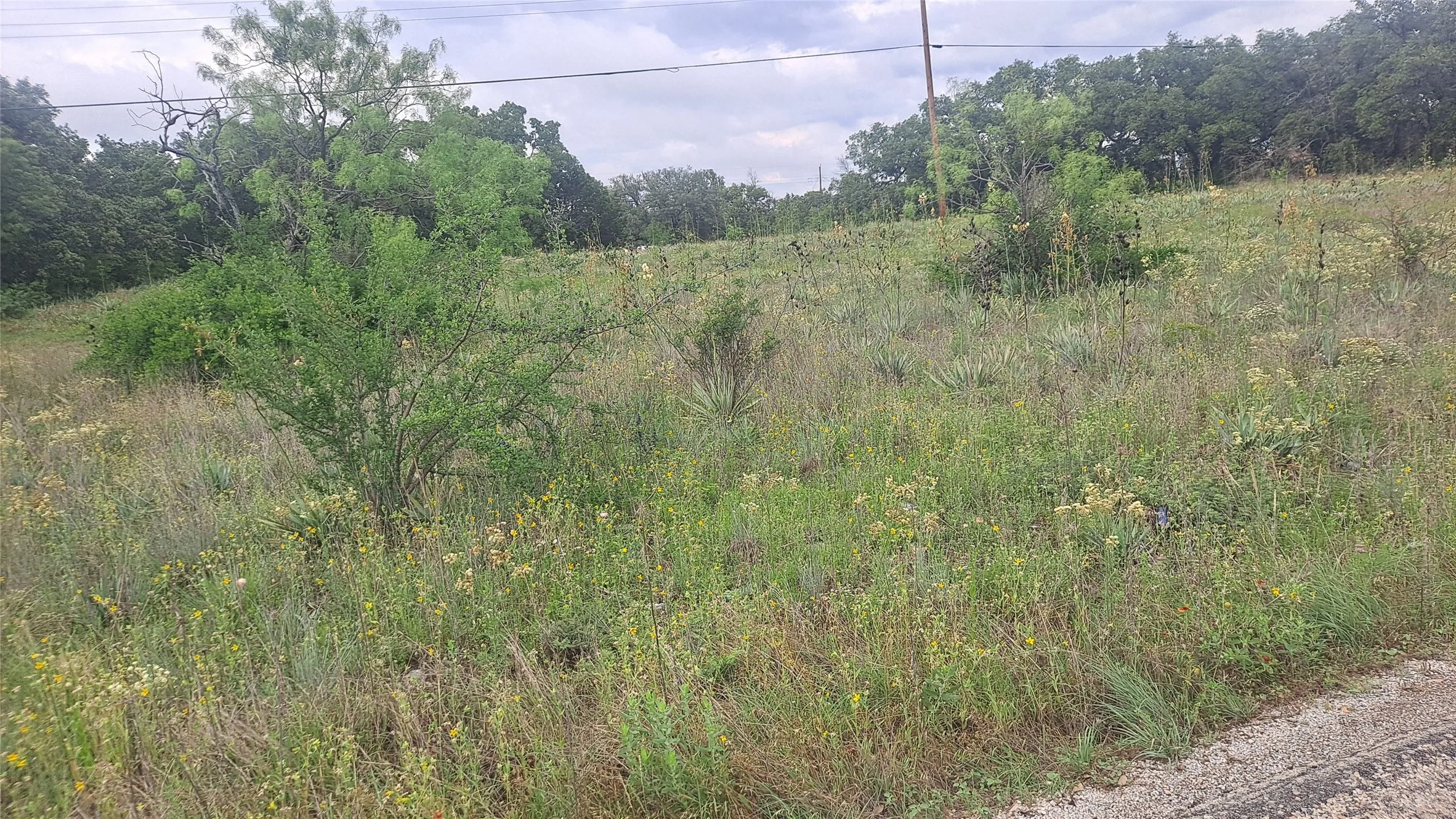 Unimproved Land For Sale in Brown County , 6958 Lovers Lane, Brownwood, Texas 76801, 0, 0, Garage spaces, 0 Sqft, built in 0, Price $16,500, mls#21123756, Real Estate Agent in Brownwood, Homes For Sale in Brown county, Homes For Sale in Brownwood, Realtor in Brownwood Texas, Real Estate Brokerage Independent Realty Texas, Luminita Cordes Realtor