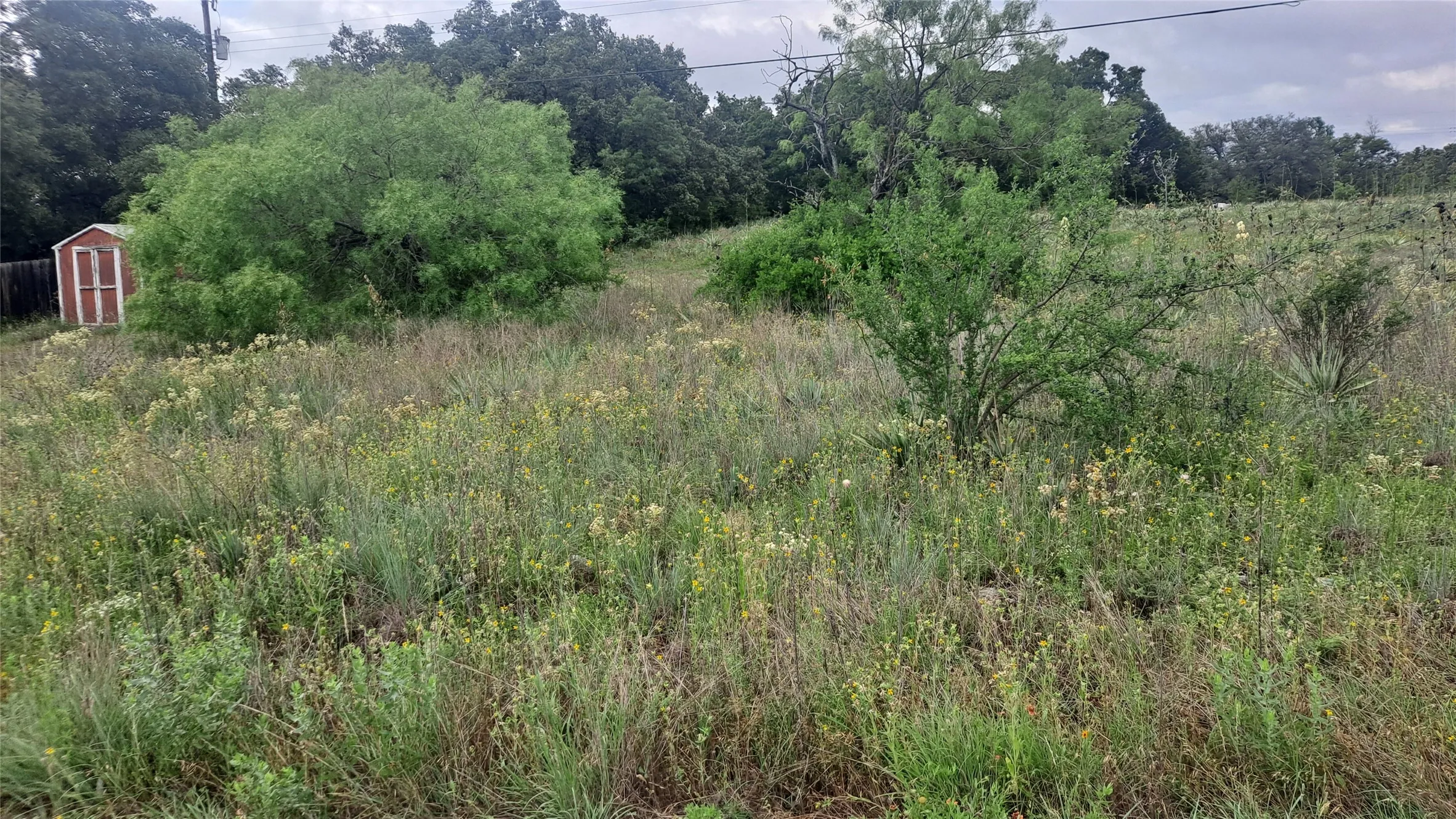 Unimproved Land For Sale in Brown County , 6958 Lovers Lane, Brownwood, Texas 76801, 0, 0, Garage spaces, 0 Sqft, built in 0, Price $16,500, mls#21123756, Real Estate Agent in Brownwood, Homes For Sale in Brown county, Homes For Sale in Brownwood, Realtor in Brownwood Texas, Real Estate Brokerage Independent Realty Texas, Luminita Cordes Realtor