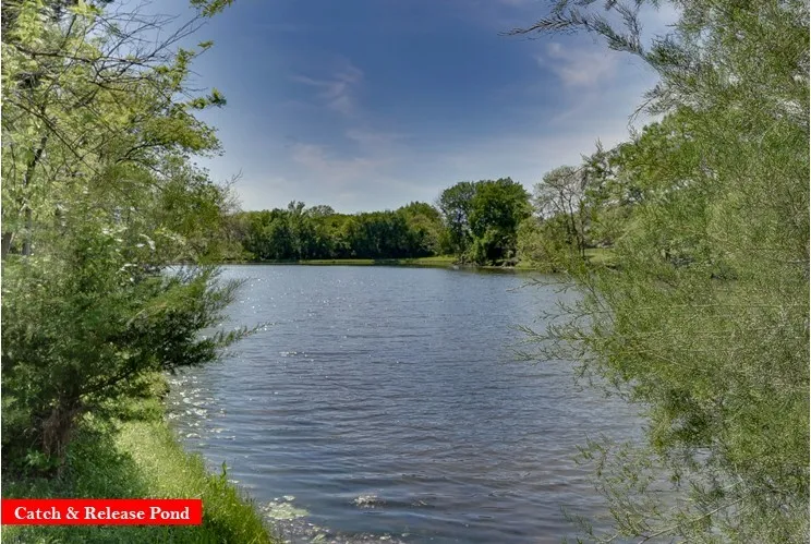 One of several Woodbridge area ponds!
