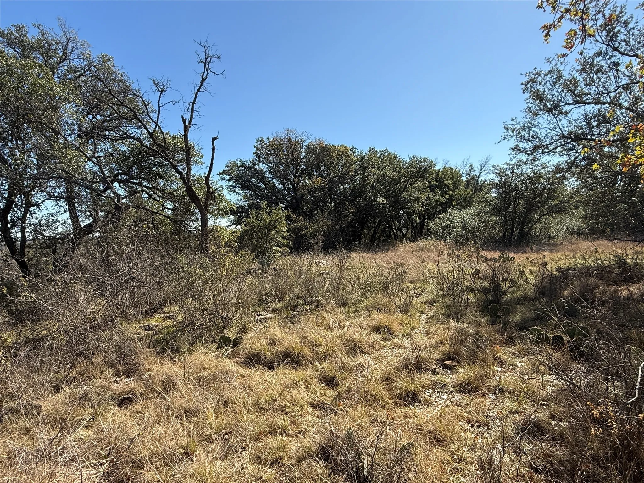 Unimproved Land For Sale in Brown County , TBD Lot 476 Anchor's Away, Brownwood, Texas 76801, 0, 0, Garage spaces, 0 Sqft, built in 0, mls#21123498, Real Estate Agent in Brownwood, Homes For Sale in Brown county, Homes For Sale in Brownwood, Realtor in Brownwood Texas, Real Estate Brokerage Independent Realty Texas, Luminita Cordes Realtor
