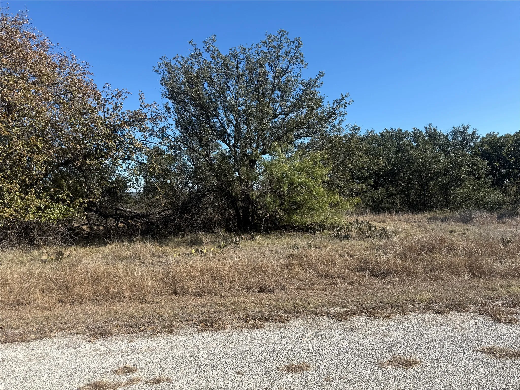 Unimproved Land For Sale in Brown County , TBD Lot 476 Anchor's Away, Brownwood, Texas 76801, 0, 0, Garage spaces, 0 Sqft, built in 0, mls#21123498, Real Estate Agent in Brownwood, Homes For Sale in Brown county, Homes For Sale in Brownwood, Realtor in Brownwood Texas, Real Estate Brokerage Independent Realty Texas, Luminita Cordes Realtor