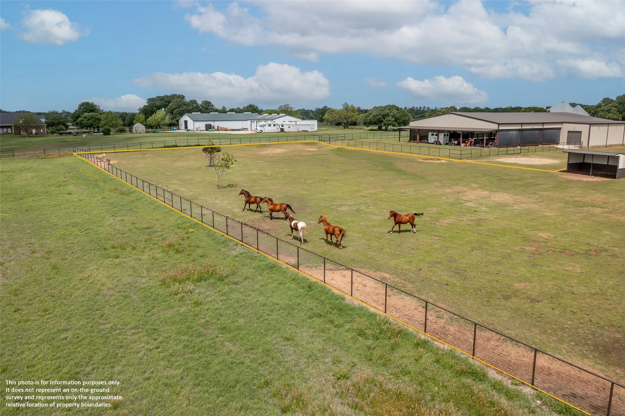 Pasture View