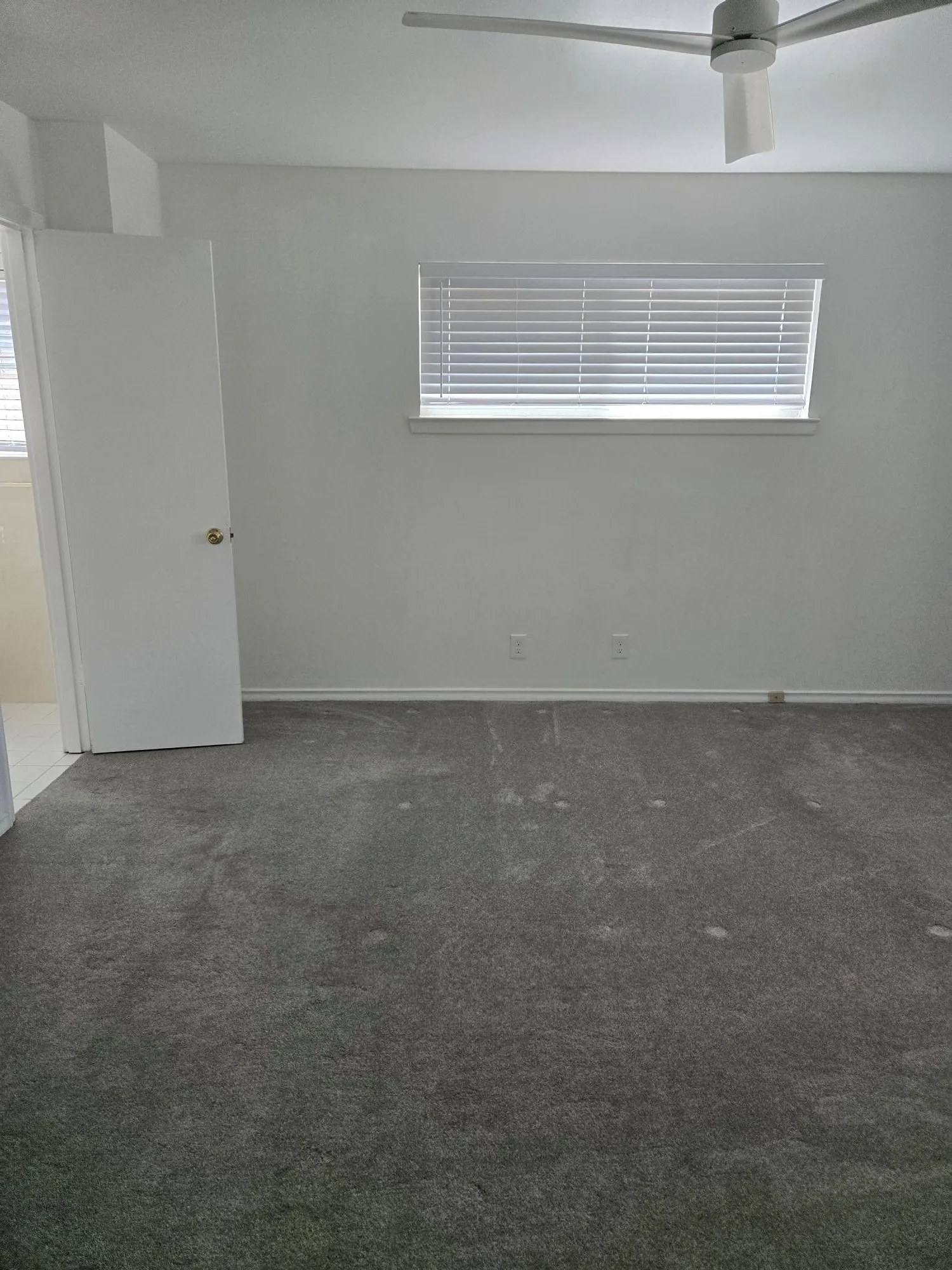 Gray wall-to-wall carpeting, white painted walls, ceiling fan, and white window blinds