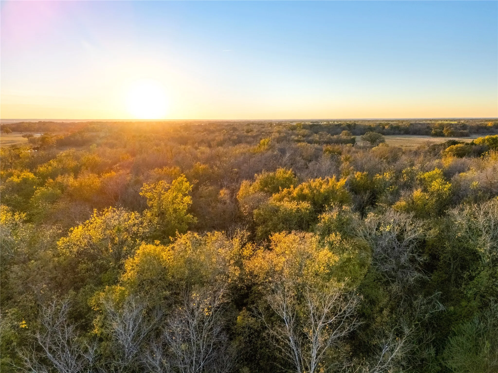 Improved Land For Sale in Falls County , 14+/- Commercial Hwy 6 Highway, Reagan, Texas 76680, 0, 0, Garage spaces, 0 Sqft, built in 0, Price $350,000, mls#21124168, Real Estate Agent in Reagan, Homes For Sale in Falls county, Homes For Sale in Reagan, Realtor in Reagan Texas, Real Estate Brokerage Independent Realty Texas, Luminita Cordes Realtor
