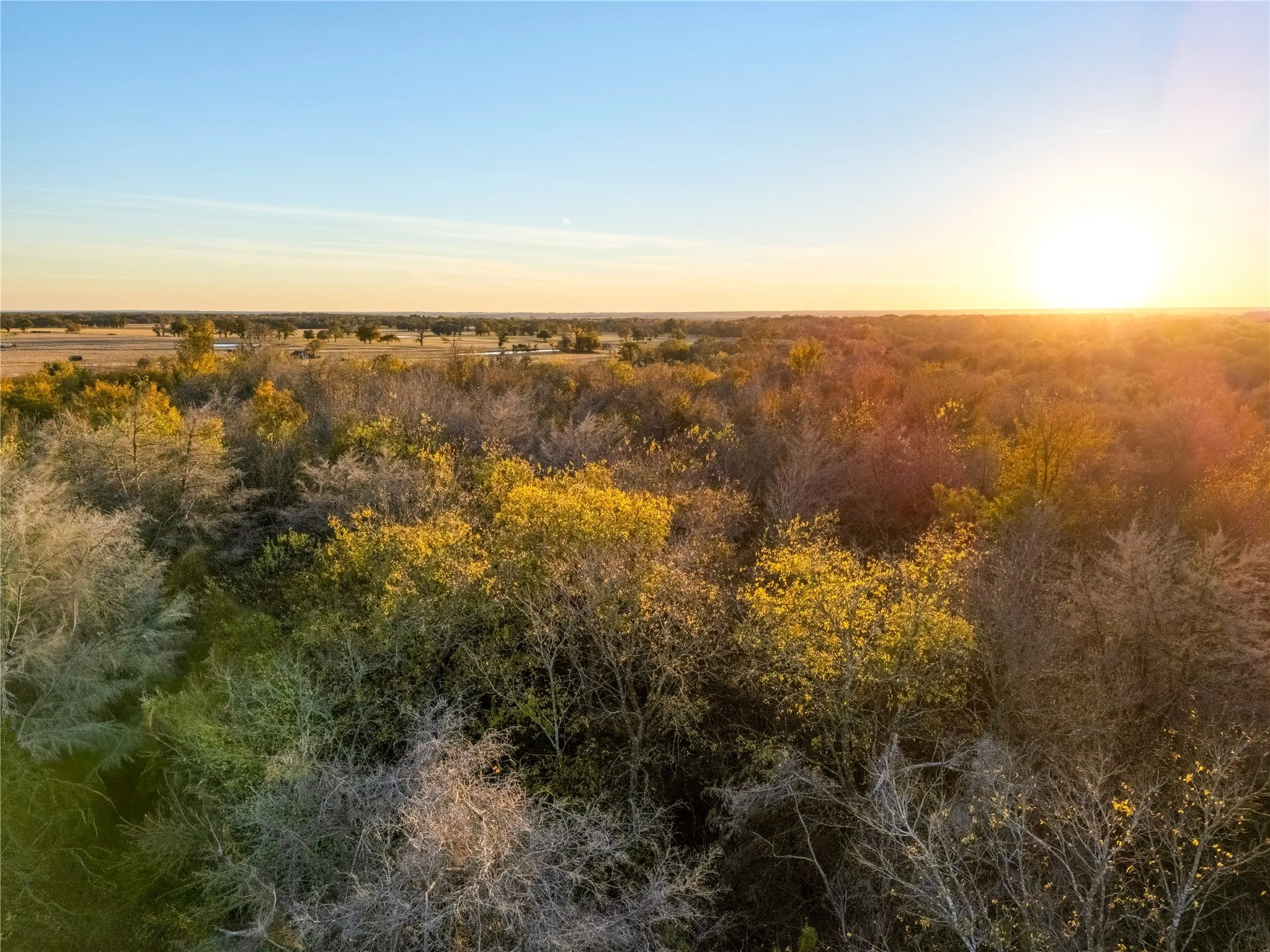 Improved Land For Sale in Falls County , 14+/- Commercial Hwy 6 Highway, Reagan, Texas 76680, 0, 0, Garage spaces, 0 Sqft, built in 0, Price $350,000, mls#21124168, Real Estate Agent in Reagan, Homes For Sale in Falls county, Homes For Sale in Reagan, Realtor in Reagan Texas, Real Estate Brokerage Independent Realty Texas, Luminita Cordes Realtor