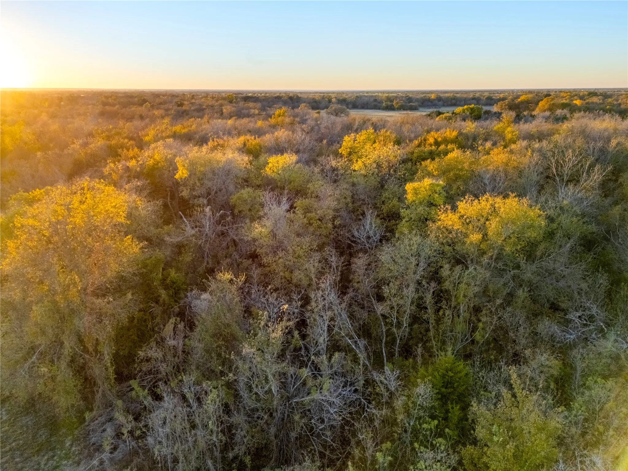 Improved Land For Sale in Falls County , 14+/- Commercial Hwy 6 Highway, Reagan, Texas 76680, 0, 0, Garage spaces, 0 Sqft, built in 0, Price $350,000, mls#21124168, Real Estate Agent in Reagan, Homes For Sale in Falls county, Homes For Sale in Reagan, Realtor in Reagan Texas, Real Estate Brokerage Independent Realty Texas, Luminita Cordes Realtor