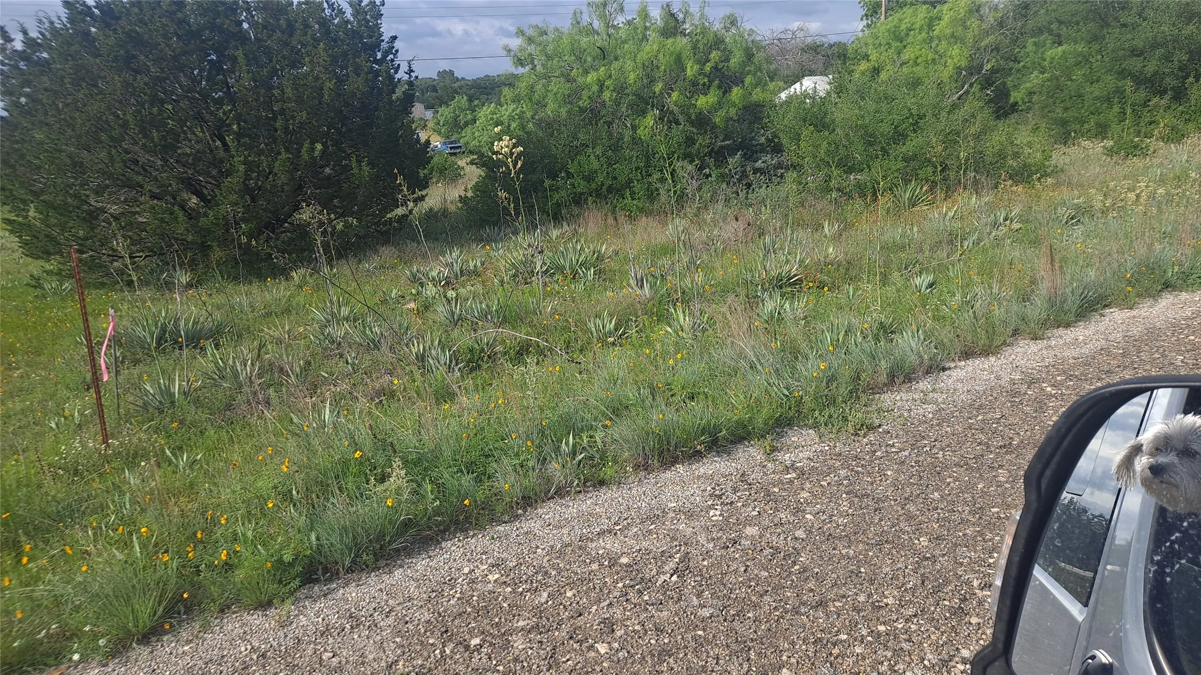 Unimproved Land For Sale in Brown County , 0 Donegal Drive, Brownwood, Texas 76801, 0, 0, Garage spaces, 0 Sqft, built in 0, Price $29,500, mls#21124706, Real Estate Agent in Brownwood, Homes For Sale in Brown county, Homes For Sale in Brownwood, Realtor in Brownwood Texas, Real Estate Brokerage Independent Realty Texas, Luminita Cordes Realtor