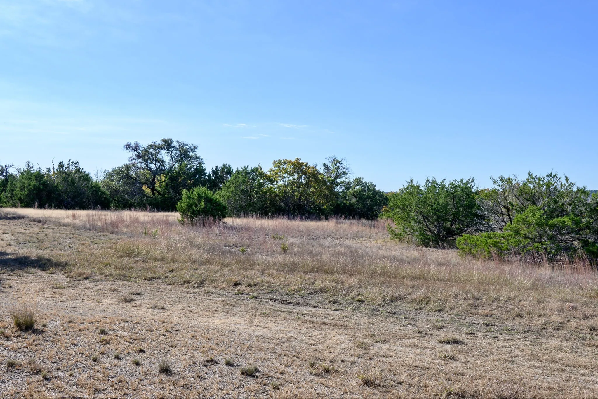 View of local wilderness featuring rural landscape