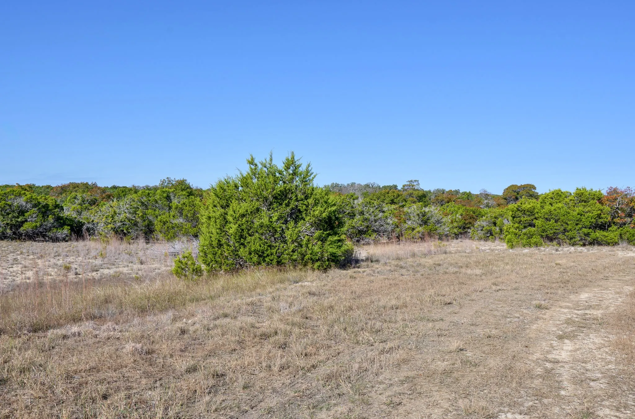 View of local wilderness with rural landscape