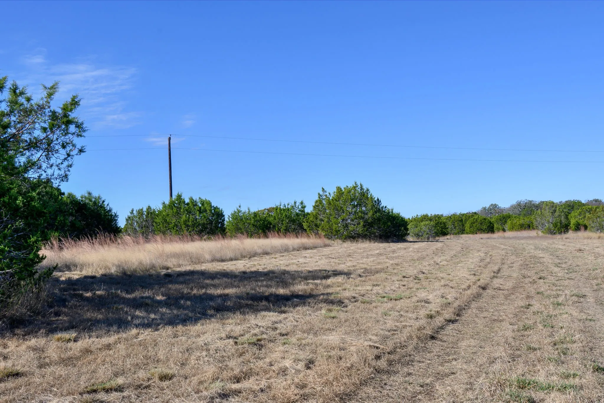 View of local wilderness with rural landscape
