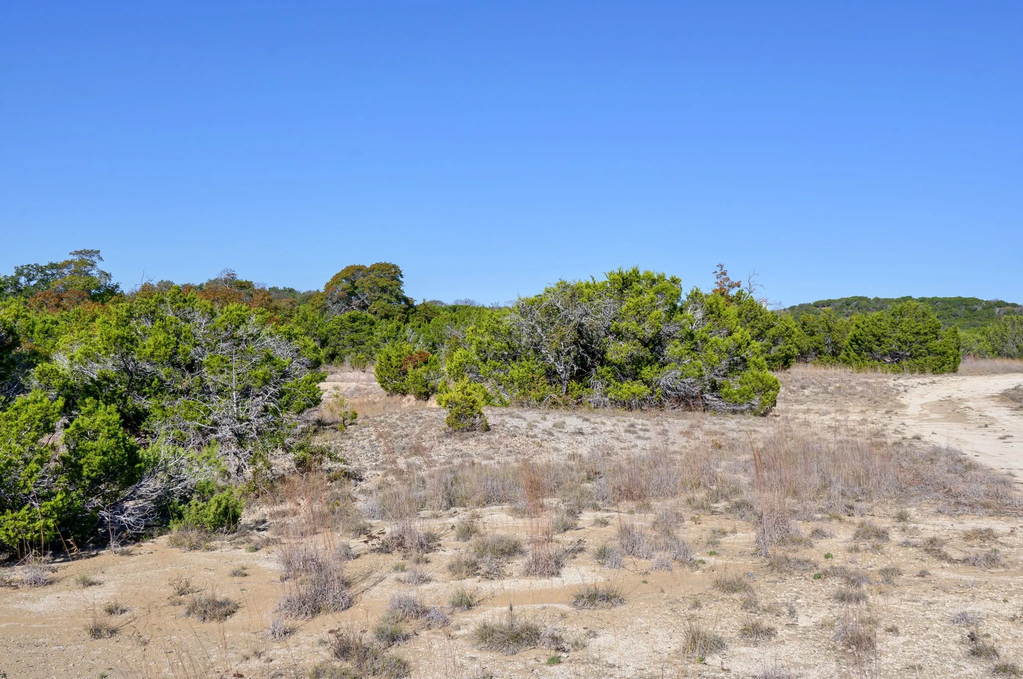 View of undeveloped land