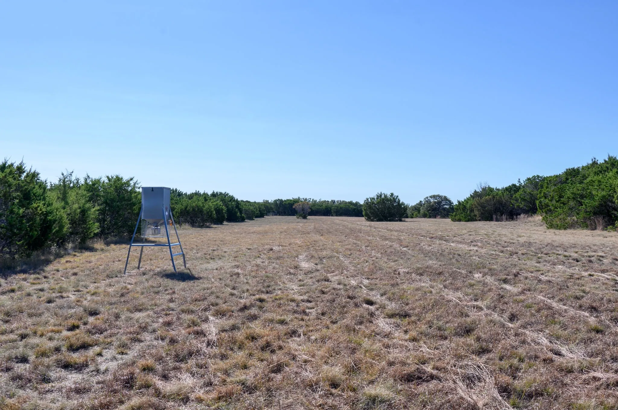 View of yard featuring a rural view