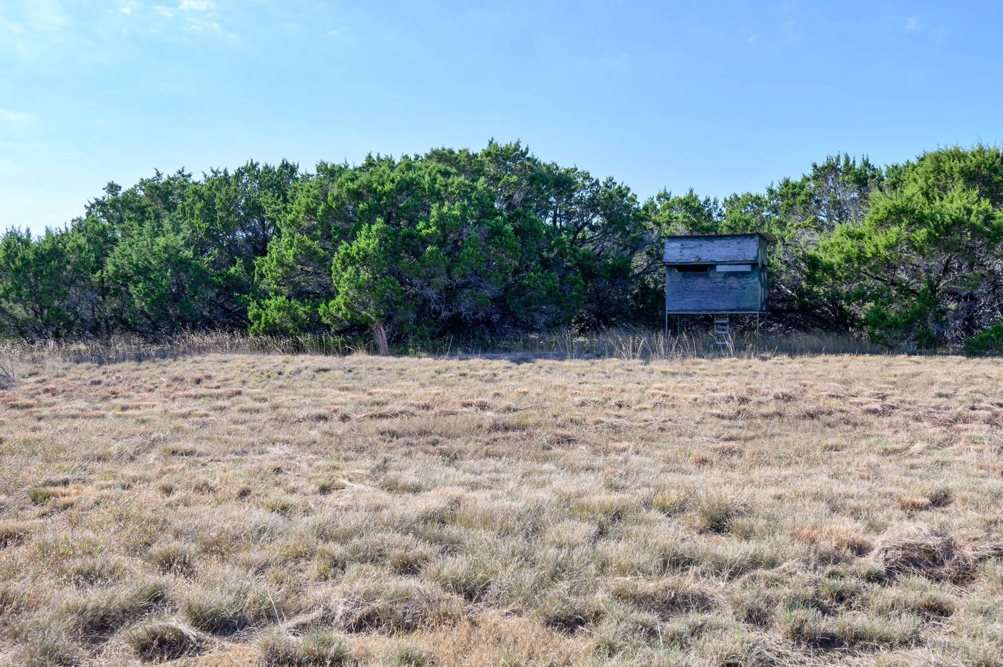View of yard featuring a view of rural / pastoral area