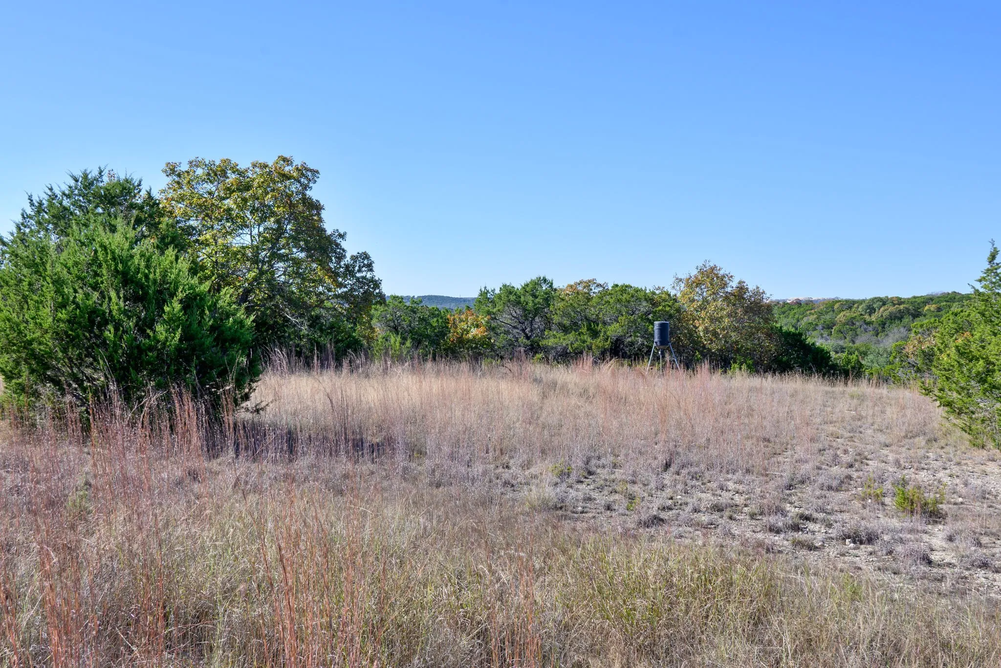 View of wooded area