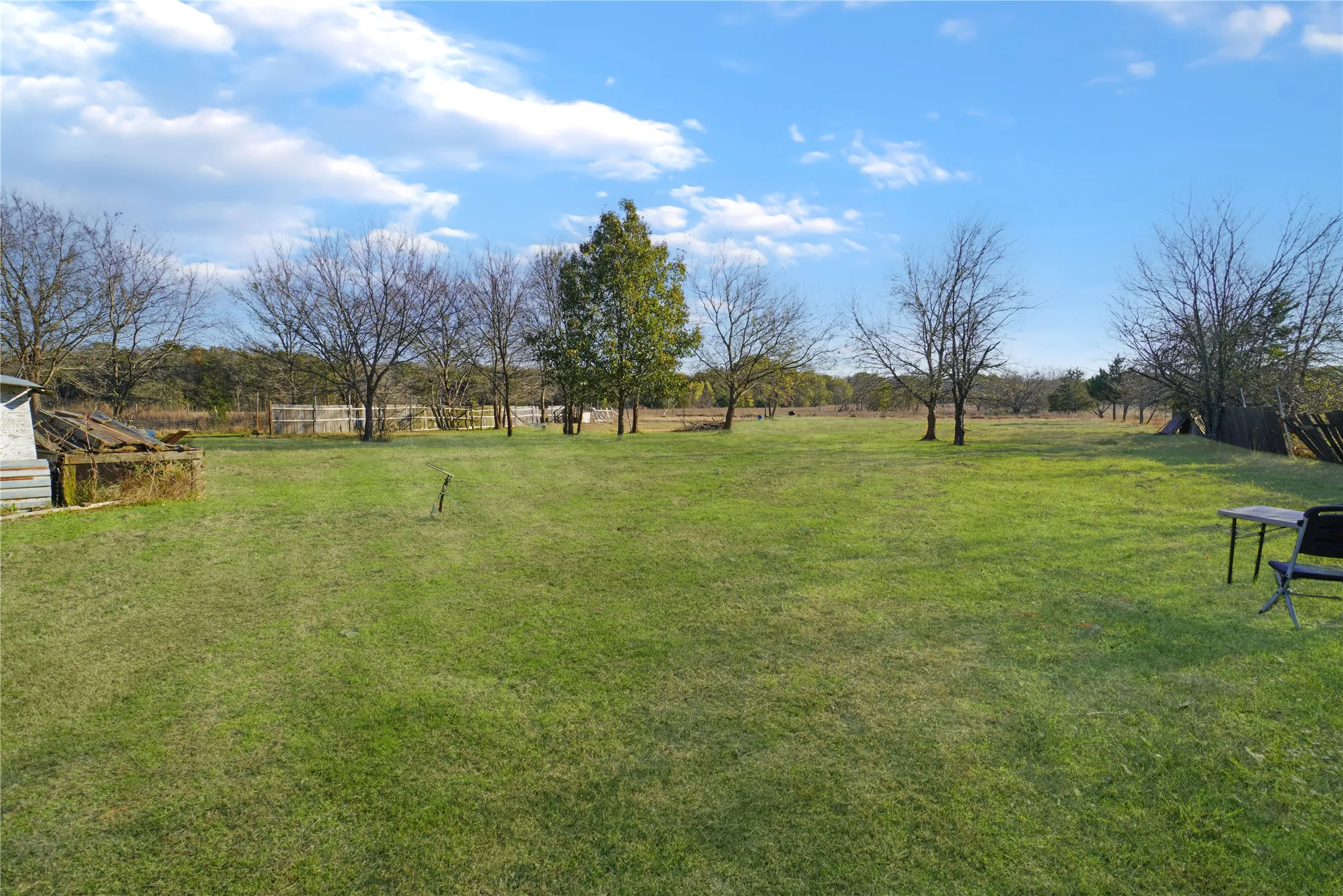 View of grassy yard