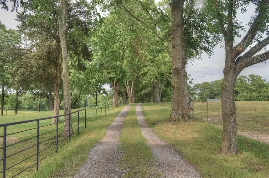 View of dirt / gravel road