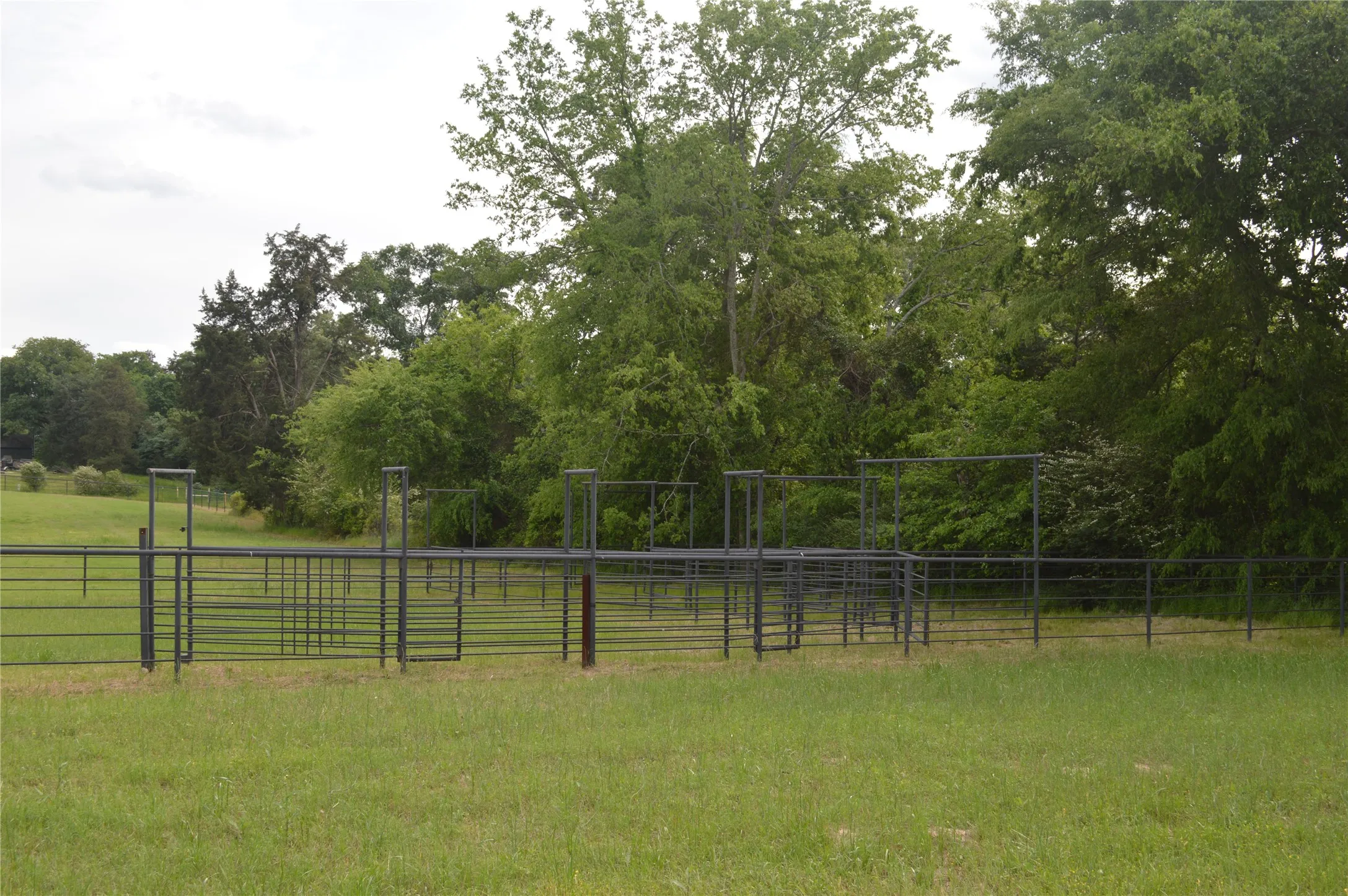 View of yard featuring a rural view and a forest view