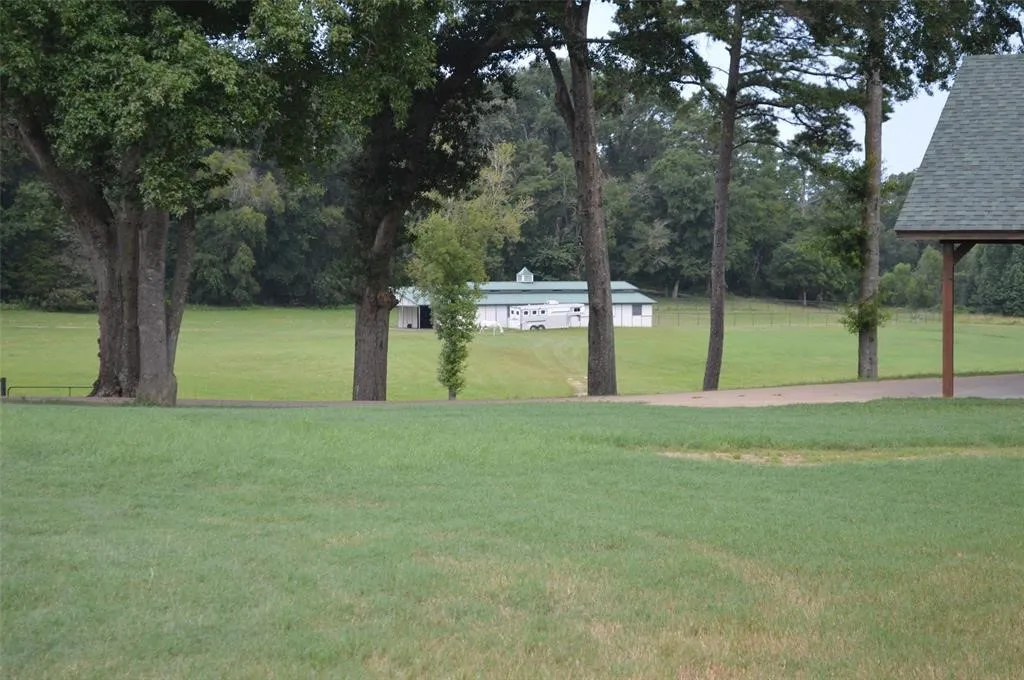 View of grassy yard