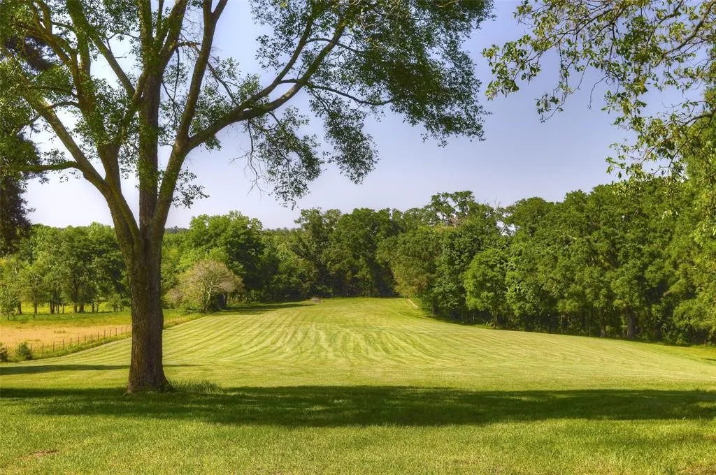 Surrounding community featuring a yard