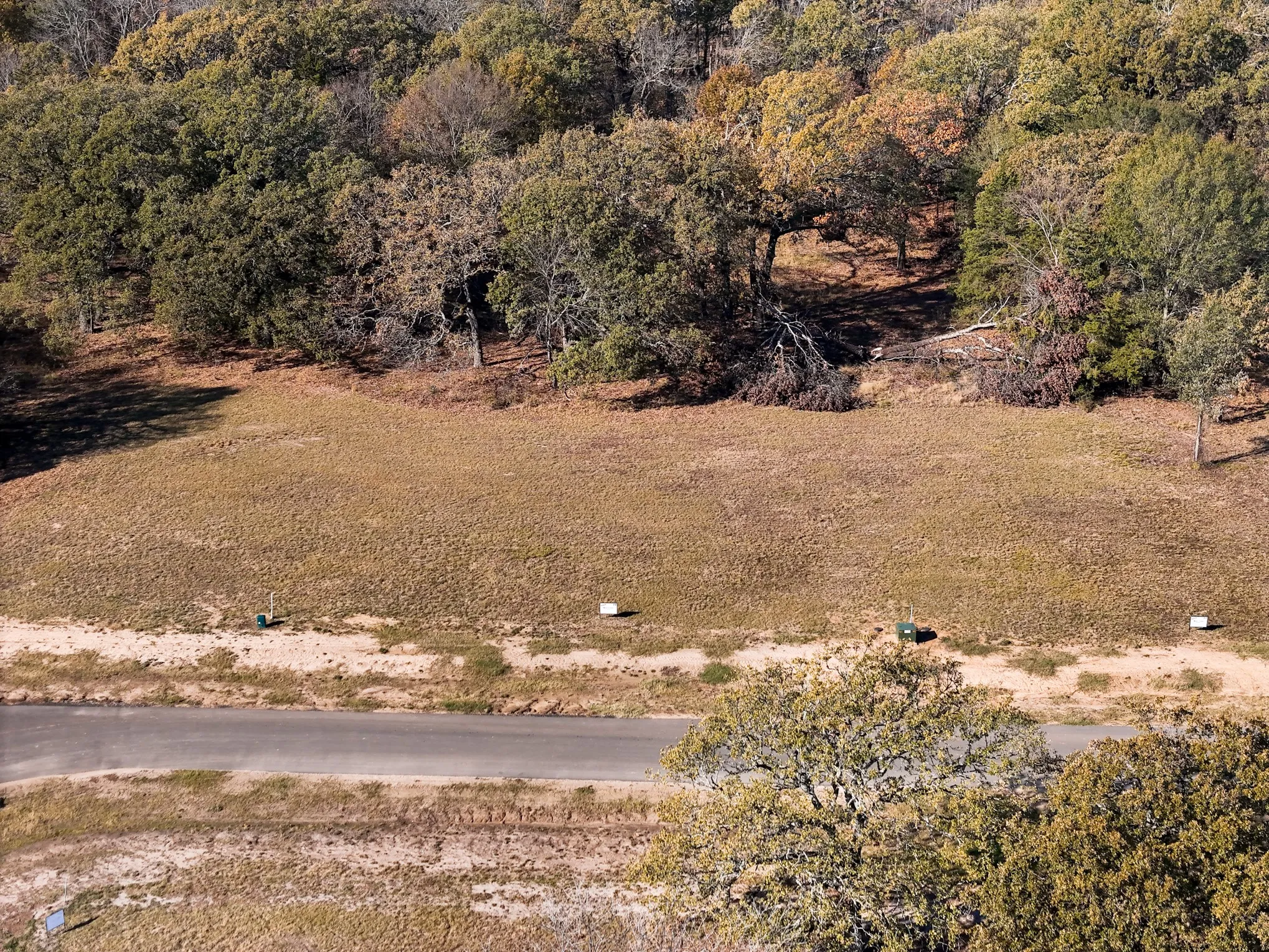 Aerial view of a forest