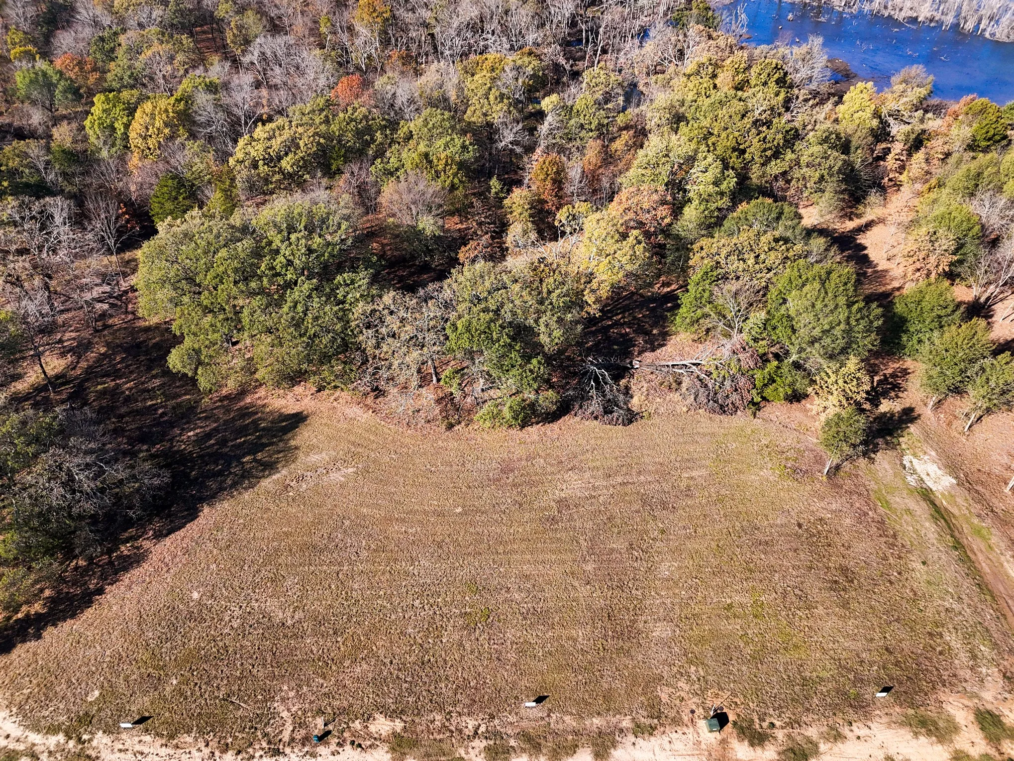 Aerial view of property's location featuring a forest and a large body of water