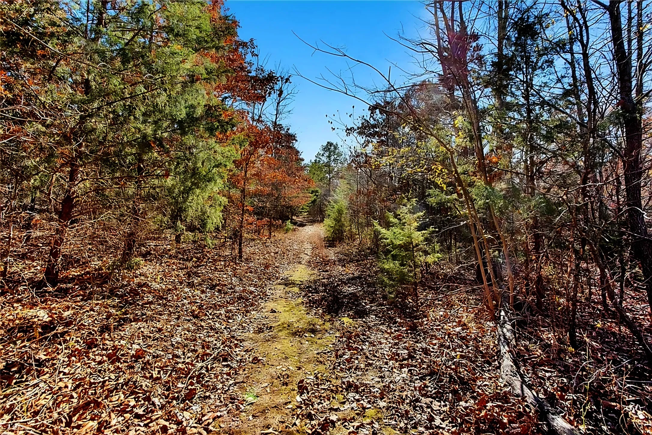 Farm For Sale in Lamar County , 520 County Road 36980, Arthur City, Texas 75411, 2 Bedrooms, 2 Bathrooms, Garage spaces, 2,664 Sqft, built in 0, Price $799,000, mls#21125249, Real Estate Agent in Arthur City, Homes For Sale in Lamar county, Homes For Sale in Arthur City, Realtor in Arthur City Texas, Real Estate Brokerage Independent Realty Texas, Luminita Cordes Realtor