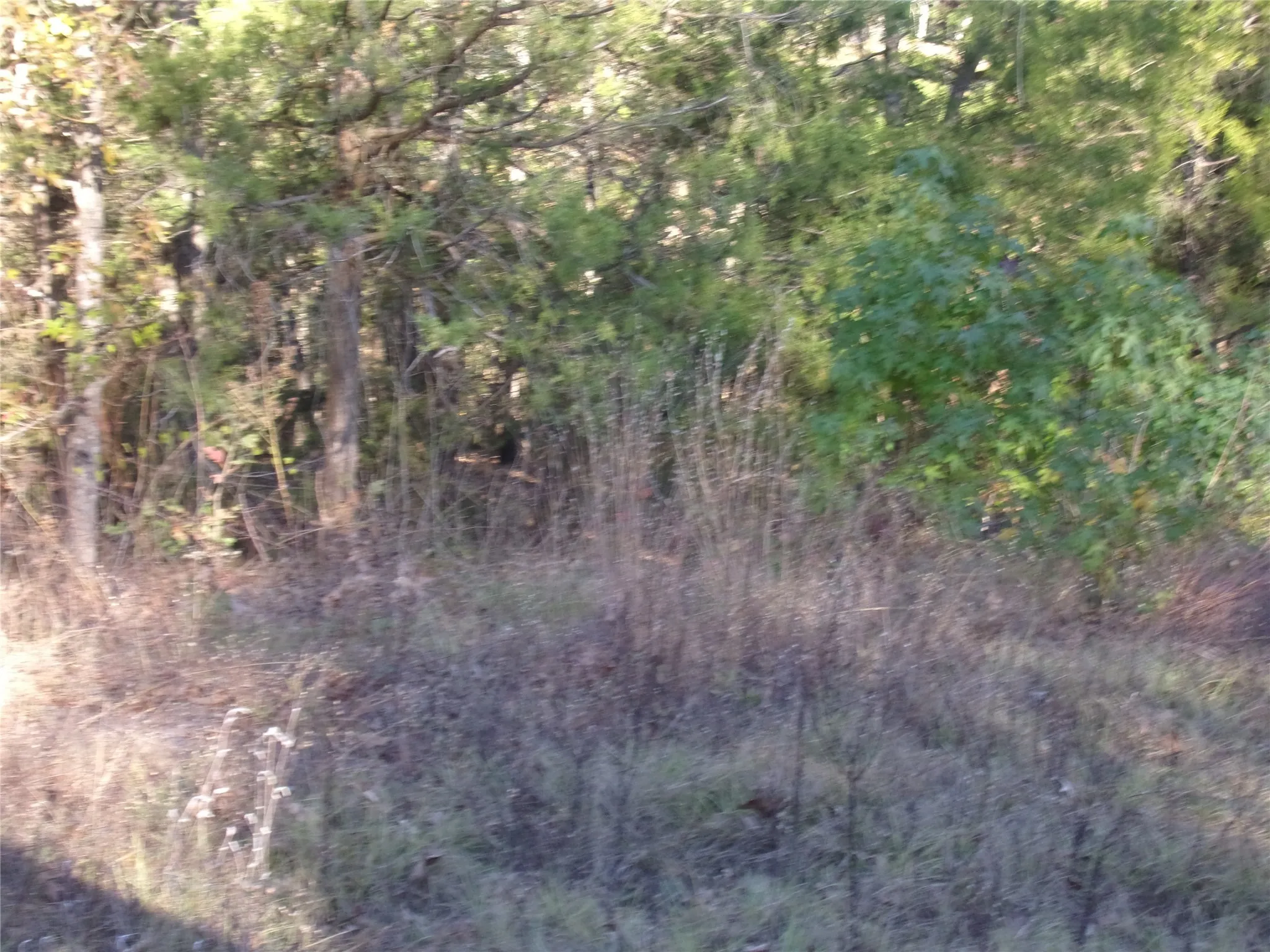 Three great lots located in gated subdivision