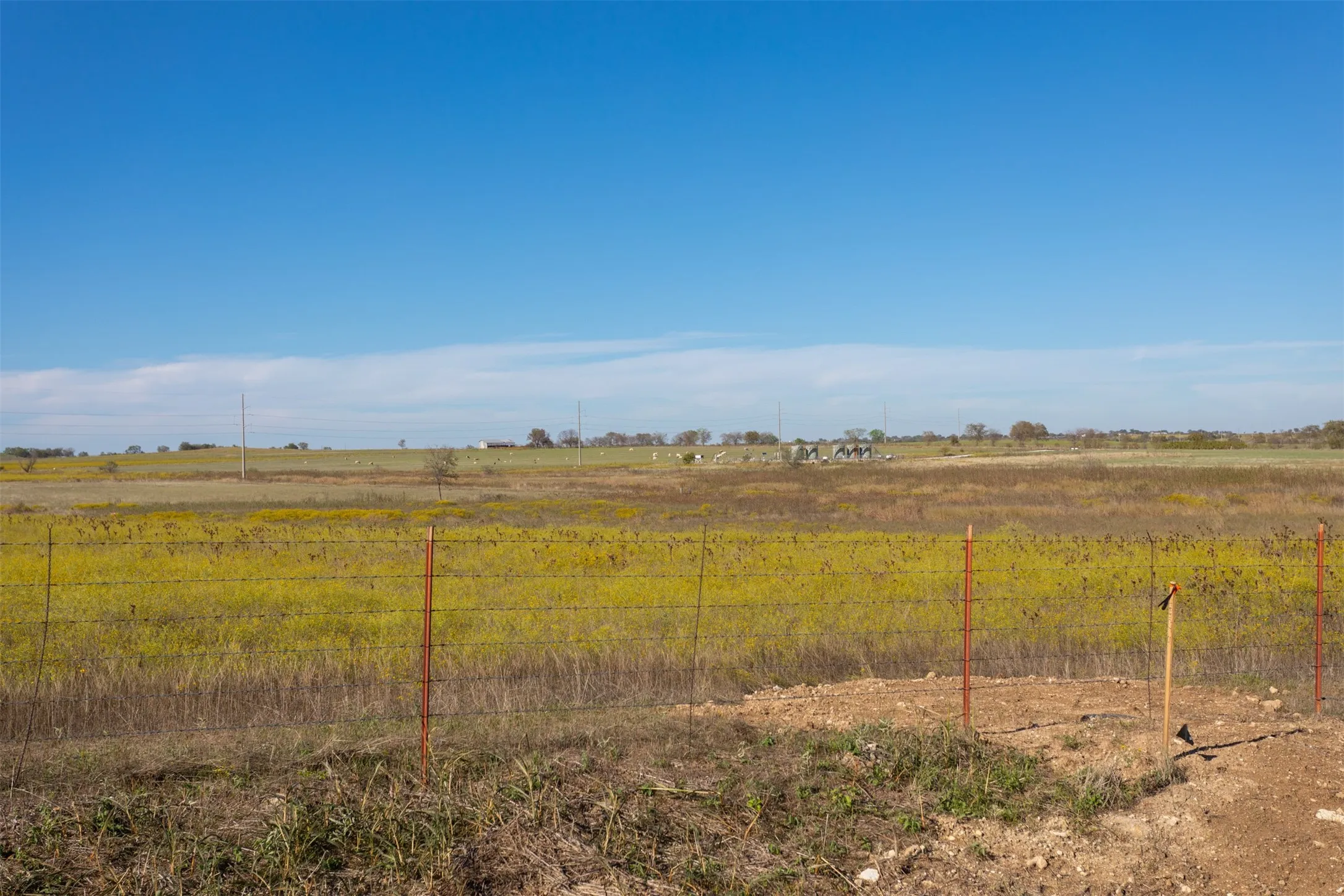 Unimproved Land For Sale in Johnson County , 6600 Woodard Avenue, Cleburne, Texas 76033, 0, 0, Garage spaces, 0 Sqft, built in 0, mls#21124767, Real Estate Agent in Cleburne, Homes For Sale in Johnson county, Homes For Sale in Cleburne, Realtor in Cleburne Texas, Real Estate Brokerage Independent Realty Texas, Luminita Cordes Realtor