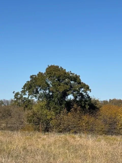 Unimproved Land For Sale in Denton County , 124.75ac Donald Road, Krum, Texas 76249, 0, 0, Garage spaces, 0 Sqft, built in 0, mls#21125576, Real Estate Agent in Krum, Homes For Sale in Denton county, Homes For Sale in Krum, Realtor in Krum Texas, Real Estate Brokerage Independent Realty Texas, Luminita Cordes Realtor