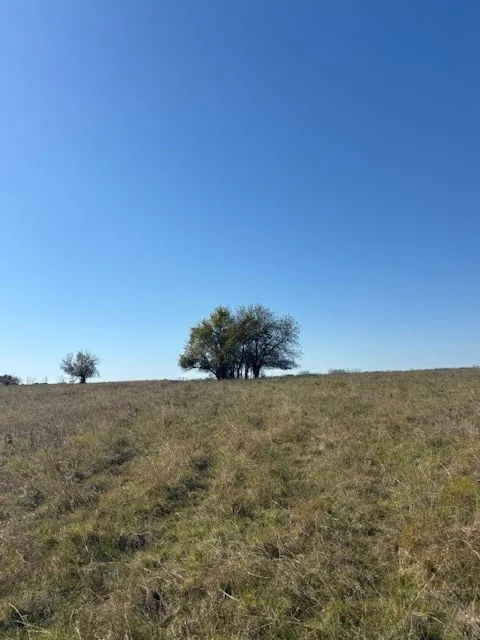 Unimproved Land For Sale in Denton County , 124.75ac Donald Road, Krum, Texas 76249, 0, 0, Garage spaces, 0 Sqft, built in 0, mls#21125576, Real Estate Agent in Krum, Homes For Sale in Denton county, Homes For Sale in Krum, Realtor in Krum Texas, Real Estate Brokerage Independent Realty Texas, Luminita Cordes Realtor