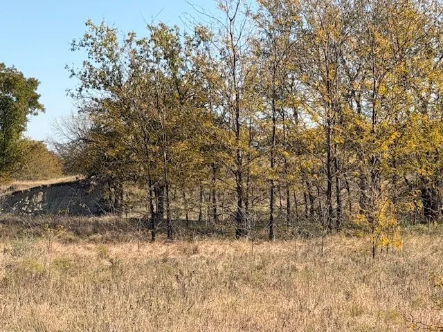 Unimproved Land For Sale in Denton County , 124.75ac Donald Road, Krum, Texas 76249, 0, 0, Garage spaces, 0 Sqft, built in 0, mls#21125576, Real Estate Agent in Krum, Homes For Sale in Denton county, Homes For Sale in Krum, Realtor in Krum Texas, Real Estate Brokerage Independent Realty Texas, Luminita Cordes Realtor