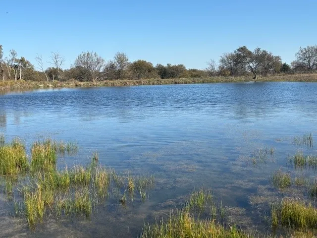Unimproved Land For Sale in Denton County , 124.75ac Donald Road, Krum, Texas 76249, 0, 0, Garage spaces, 0 Sqft, built in 0, mls#21125576, Real Estate Agent in Krum, Homes For Sale in Denton county, Homes For Sale in Krum, Realtor in Krum Texas, Real Estate Brokerage Independent Realty Texas, Luminita Cordes Realtor