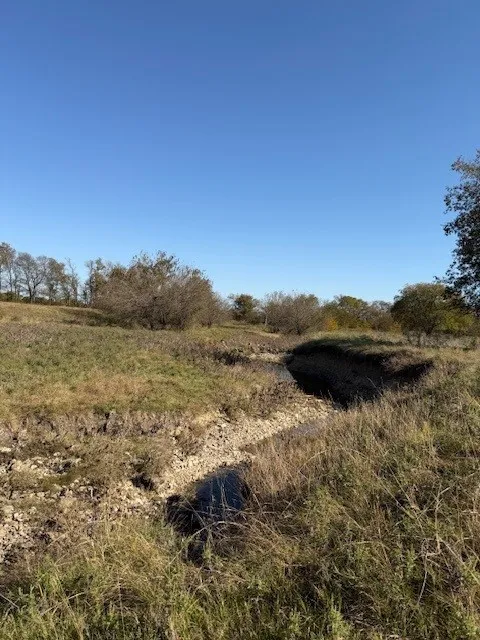 Unimproved Land For Sale in Denton County , 124.75ac Donald Road, Krum, Texas 76249, 0, 0, Garage spaces, 0 Sqft, built in 0, mls#21125576, Real Estate Agent in Krum, Homes For Sale in Denton county, Homes For Sale in Krum, Realtor in Krum Texas, Real Estate Brokerage Independent Realty Texas, Luminita Cordes Realtor