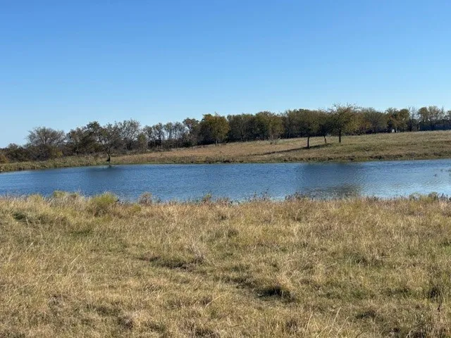 Unimproved Land For Sale in Denton County , 124.75ac Donald Road, Krum, Texas 76249, 0, 0, Garage spaces, 0 Sqft, built in 0, mls#21125576, Real Estate Agent in Krum, Homes For Sale in Denton county, Homes For Sale in Krum, Realtor in Krum Texas, Real Estate Brokerage Independent Realty Texas, Luminita Cordes Realtor