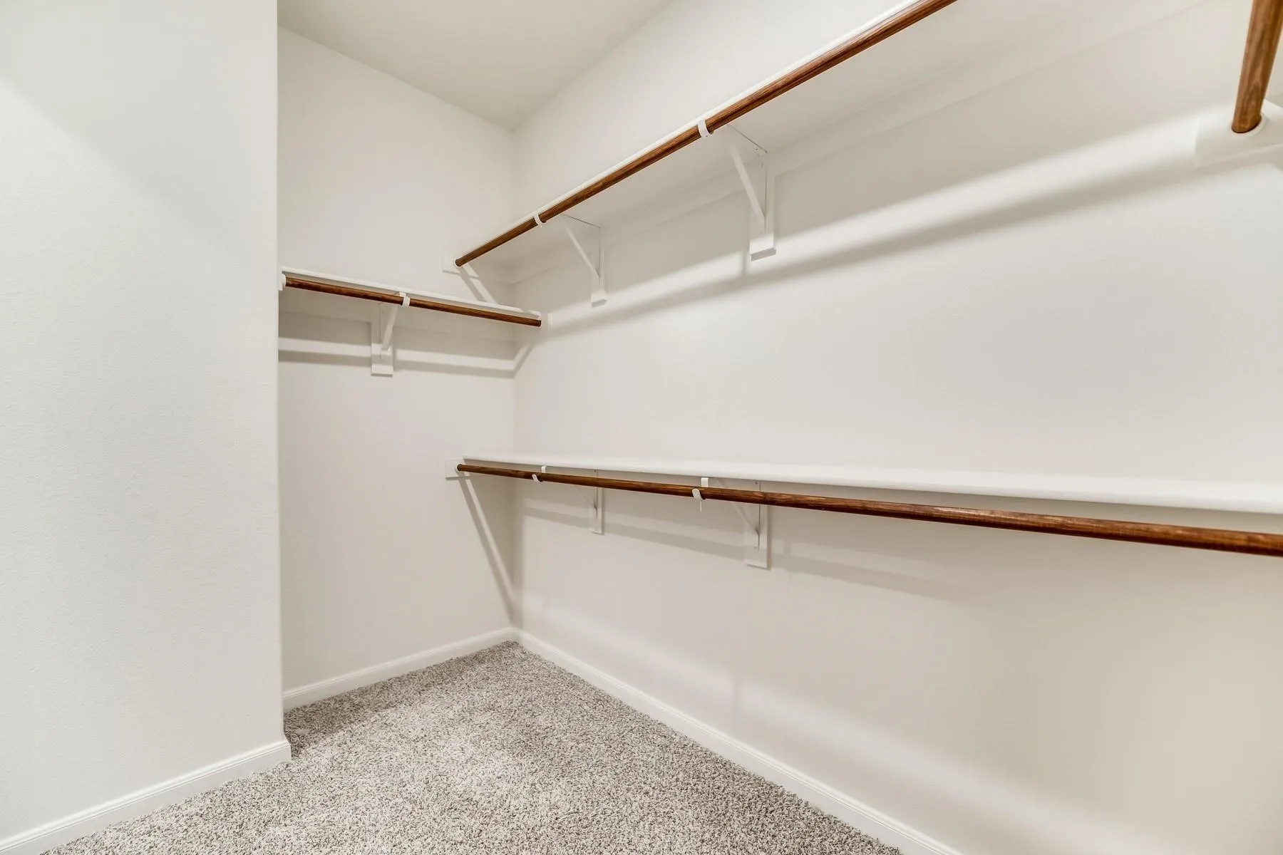 Walk in closet featuring light carpet