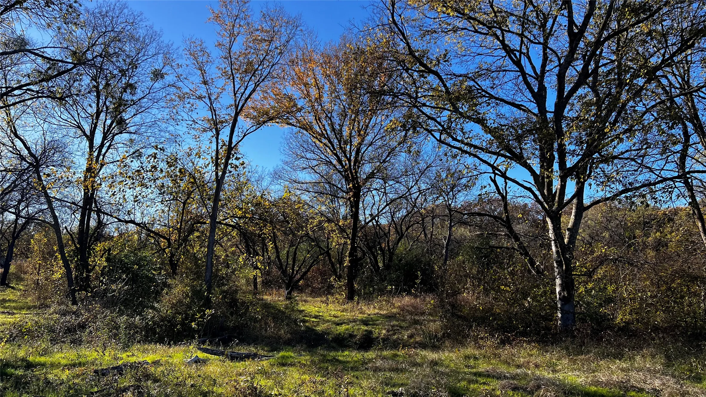 View of lot 72 from waters edge.
