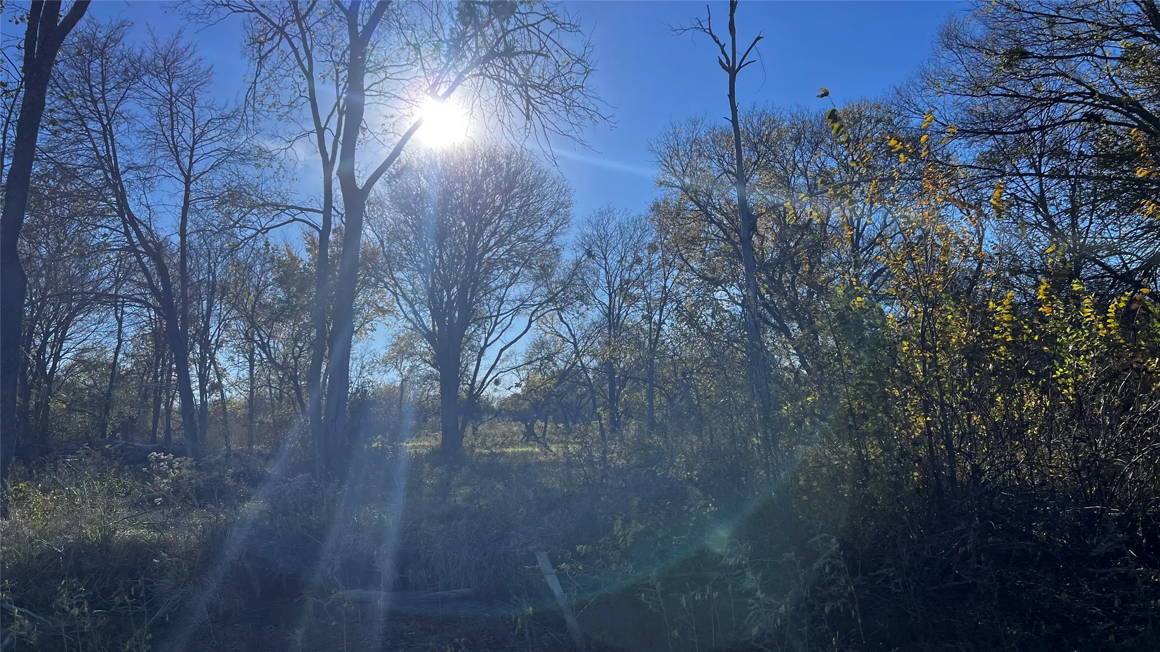 View of lot from water.  Beautiful mature trees provide a quiet setting.